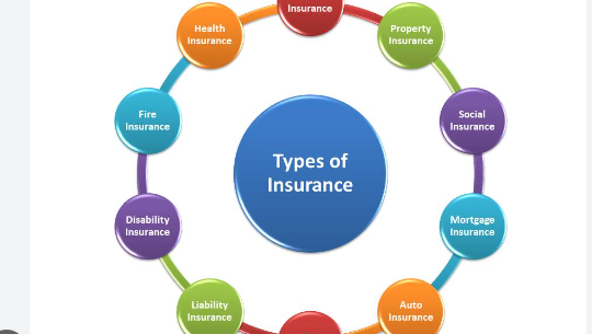 What are the top 3 types of insurance?